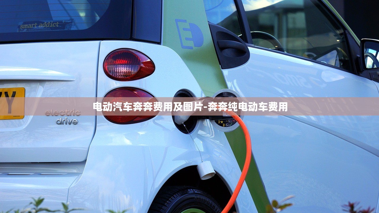 电动汽车奔奔费用及图片-奔奔纯电动车费用