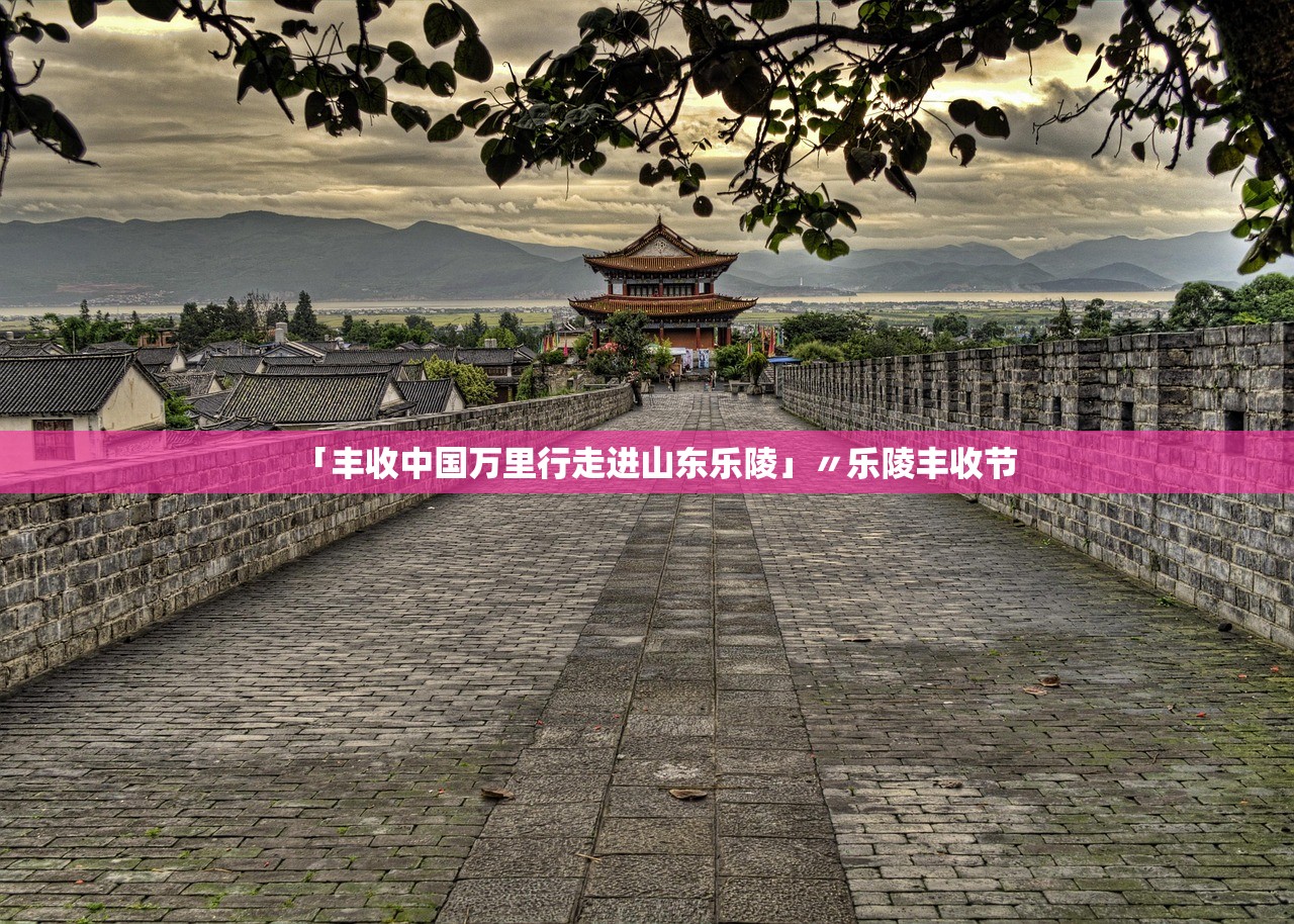 「丰收中国万里行走进山东乐陵」〃乐陵丰收节 「丰收中国万里行走进山东乐陵」〃乐陵丰收节