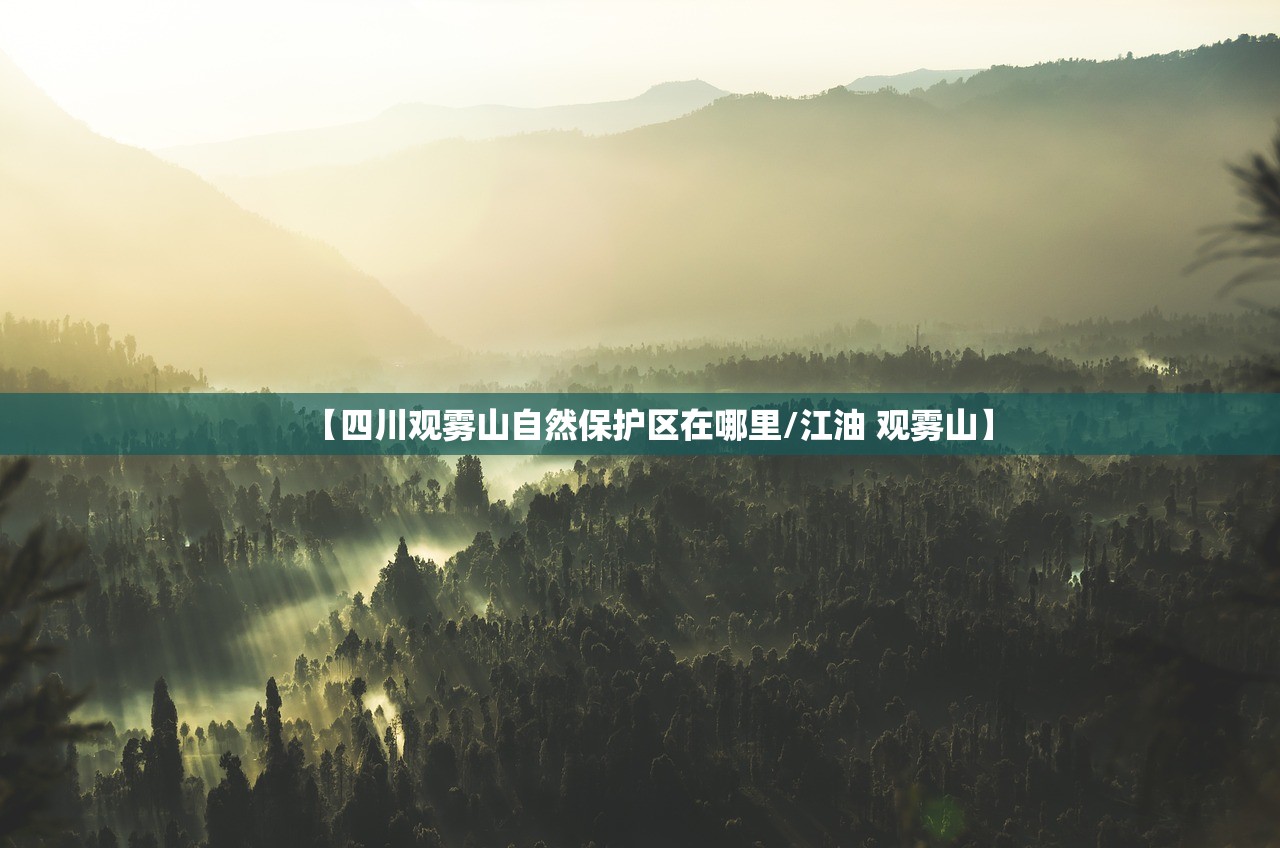 【四川观雾山自然保护区在哪里/江油 观雾山】 【四川观雾山自然保护区在哪里/江油 观雾山】