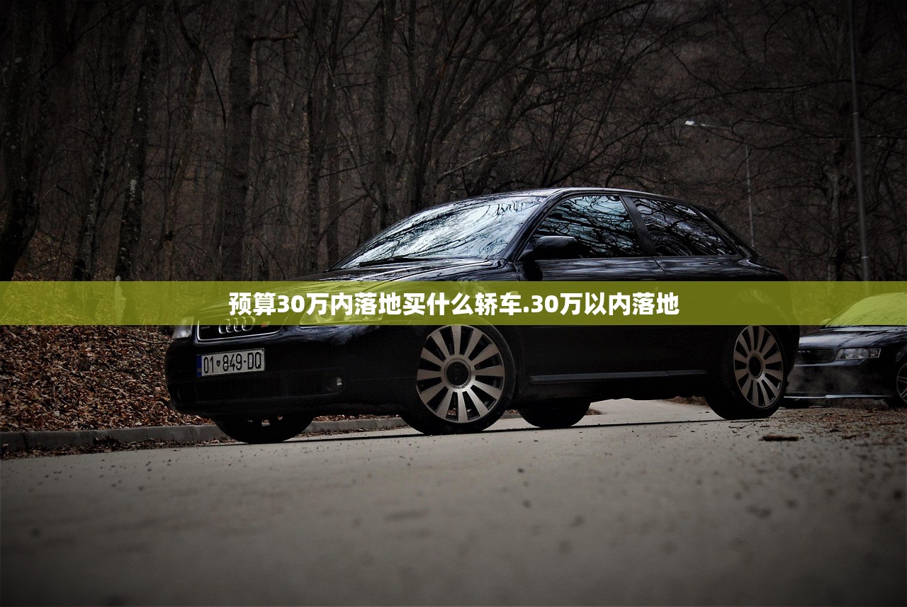 预算30万内落地买什么轿车.30万以内落地