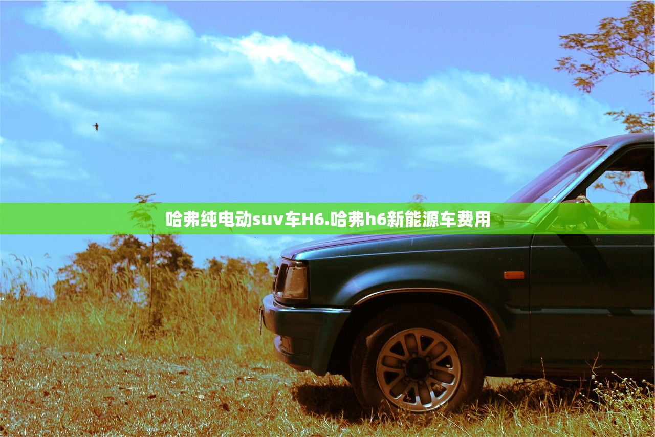 哈弗纯电动suv车H6.哈弗h6新能源车费用 哈弗纯电动suv车H6.哈弗h6新能源车费用