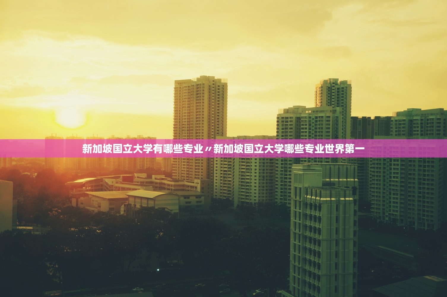 新加坡国立大学有哪些专业〃新加坡国立大学哪些专业世界第一