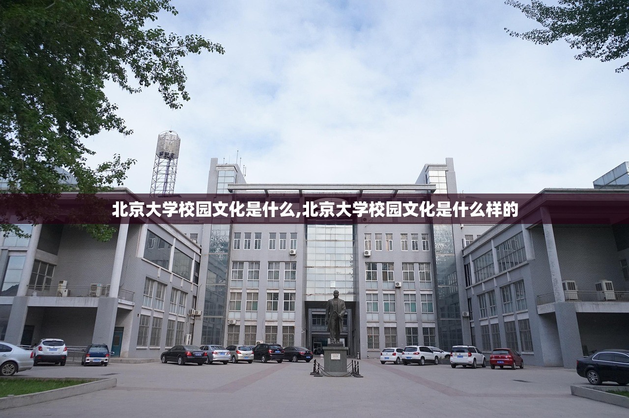 北京大学校园文化是什么,北京大学校园文化是什么样的