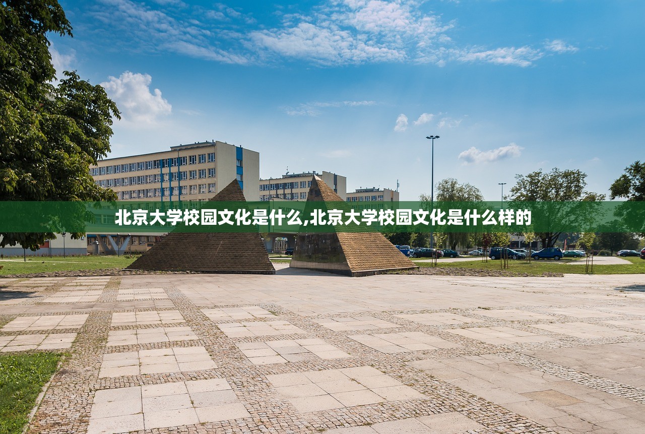 北京大学校园文化是什么,北京大学校园文化是什么样的