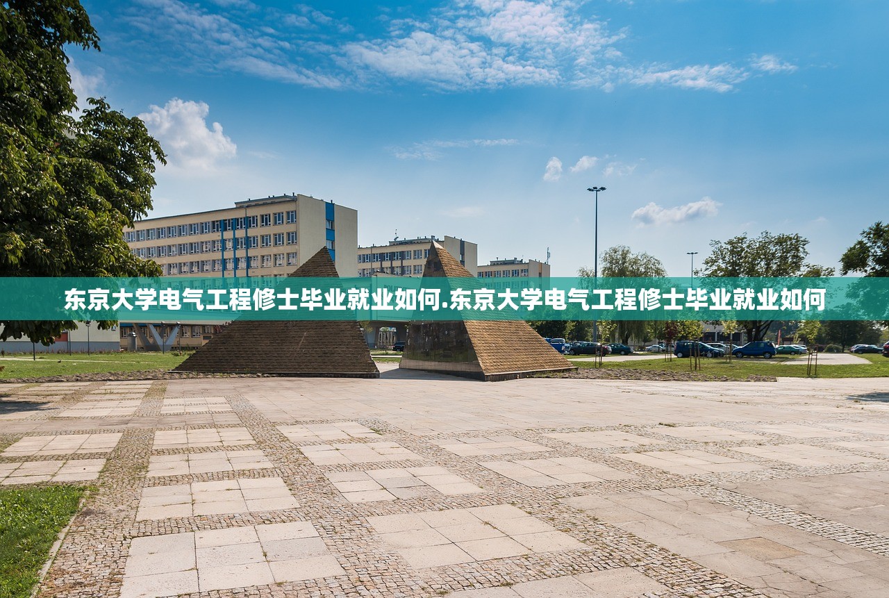 东京大学电气工程修士毕业就业如何.东京大学电气工程修士毕业就业如何
