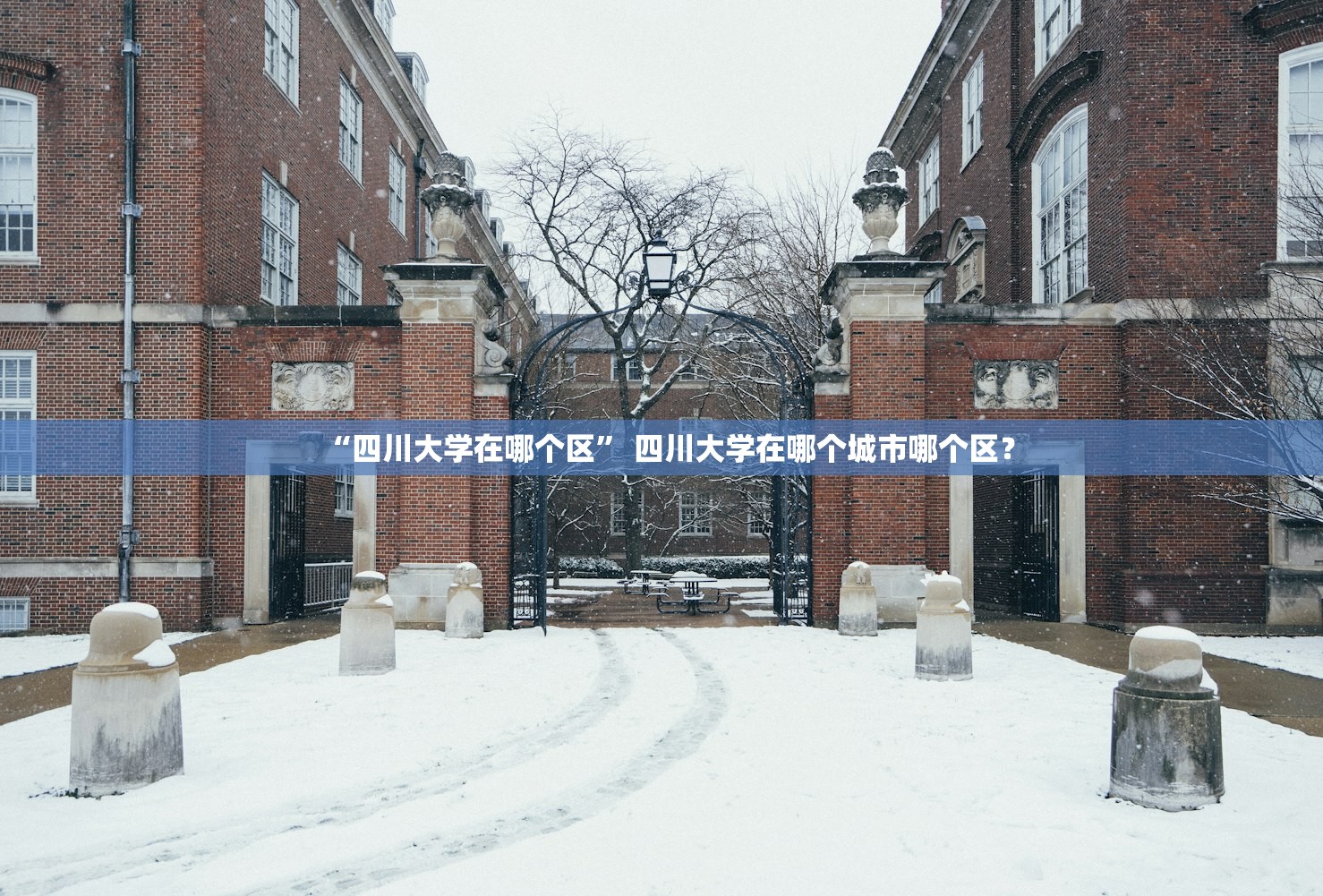 “四川大学在哪个区” 四川大学在哪个城市哪个区？