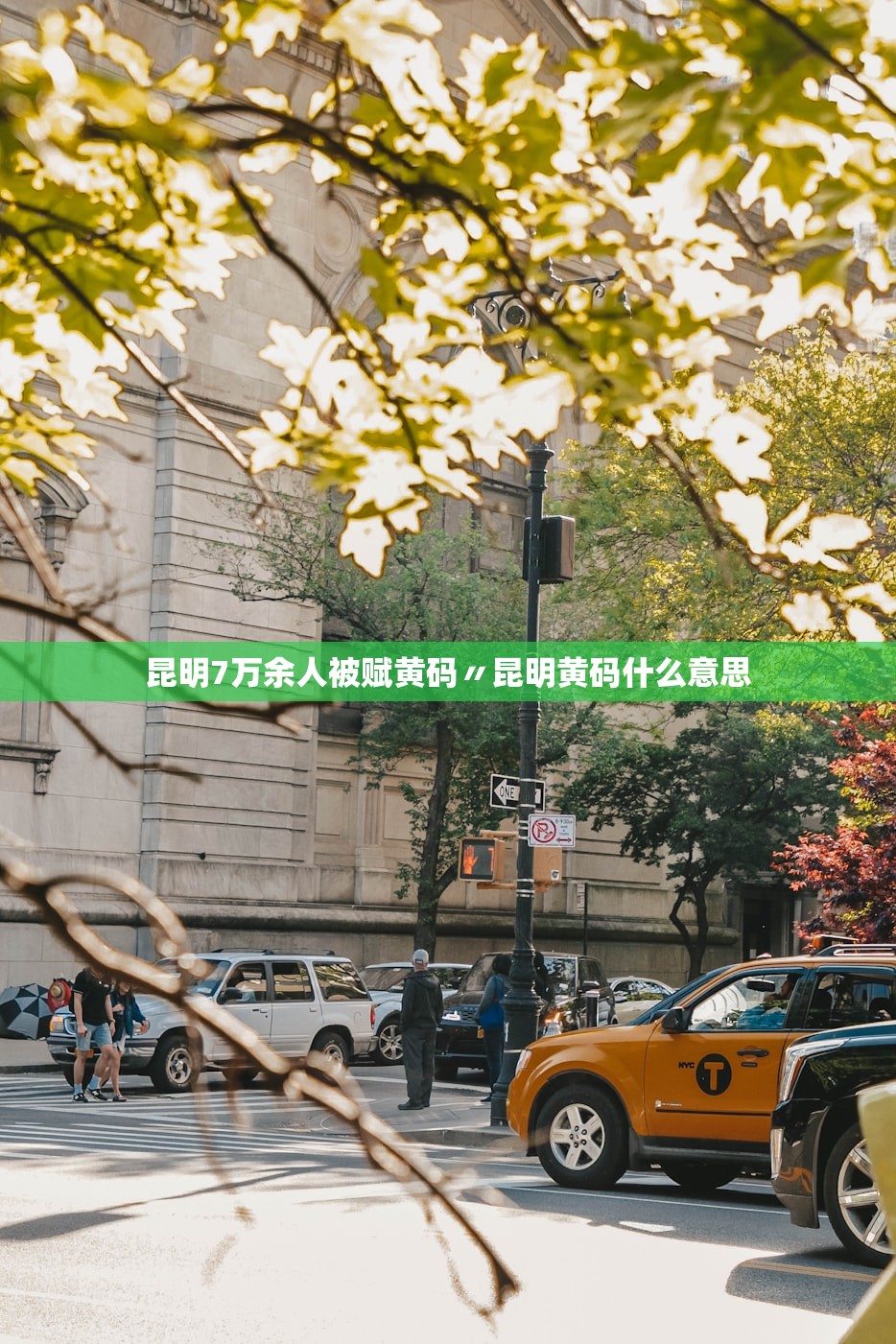 昆明7万余人被赋黄码〃昆明黄码什么意思 昆明7万余人被赋黄码〃昆明黄码什么意思