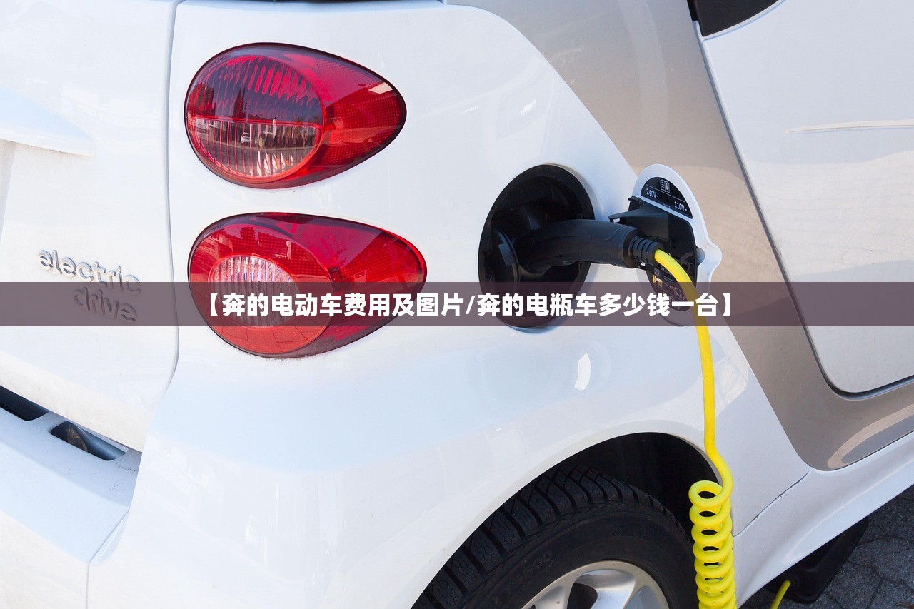 【奔的电动车费用及图片/奔的电瓶车多少钱一台】