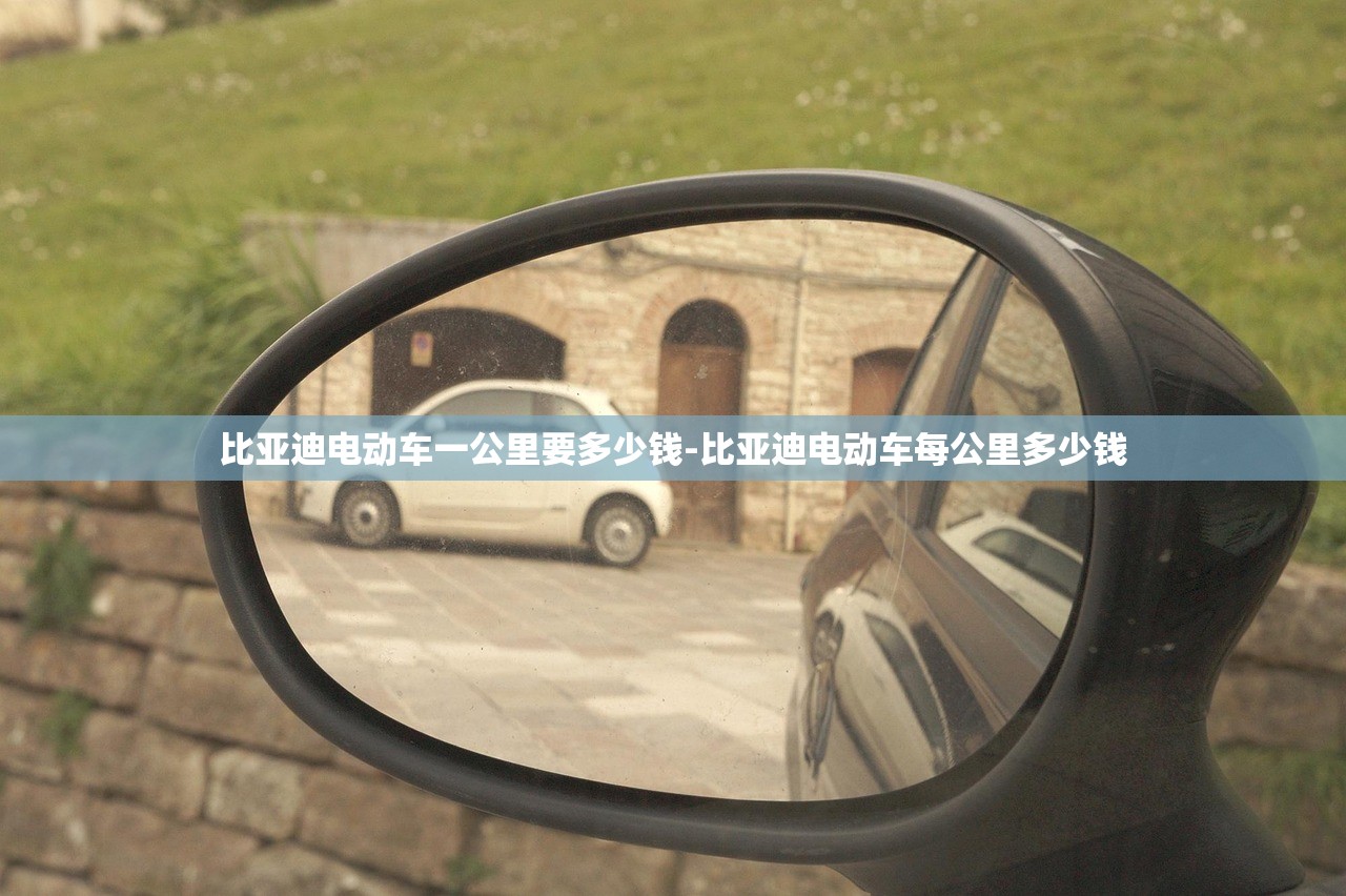 比亚迪电动车一公里要多少钱-比亚迪电动车每公里多少钱 比亚迪电动车一公里要多少钱-比亚迪电动车每公里多少钱