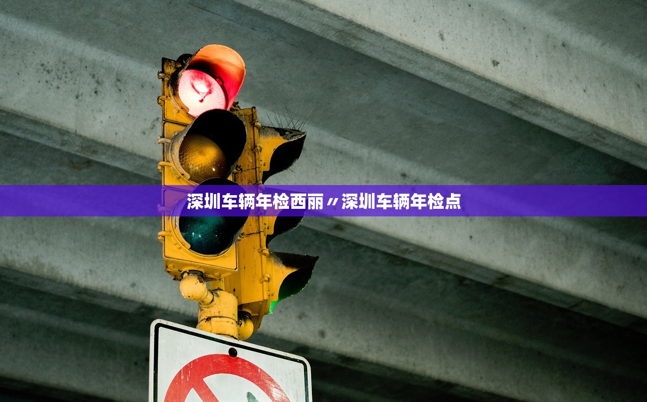 深圳车辆年检西丽〃深圳车辆年检点