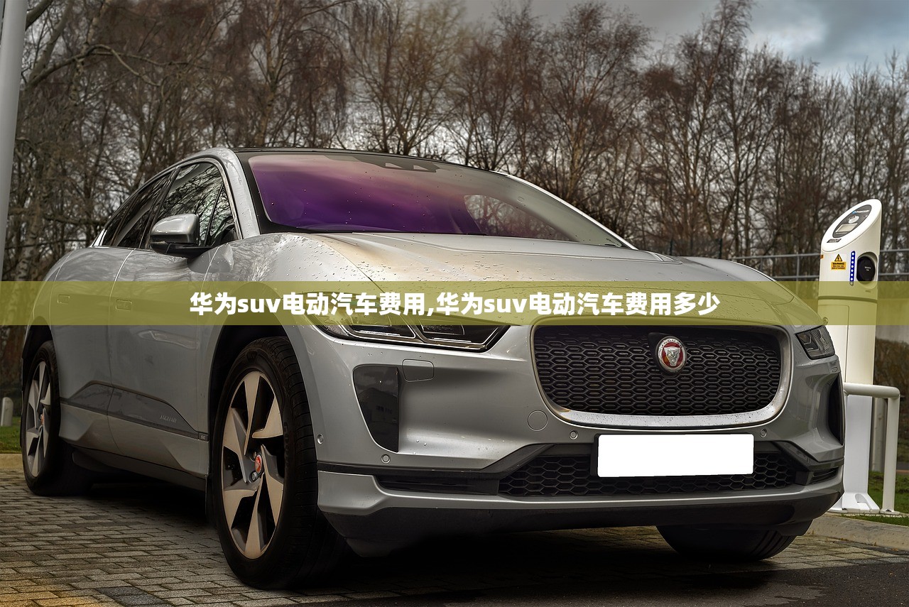 华为suv电动汽车费用,华为suv电动汽车费用多少