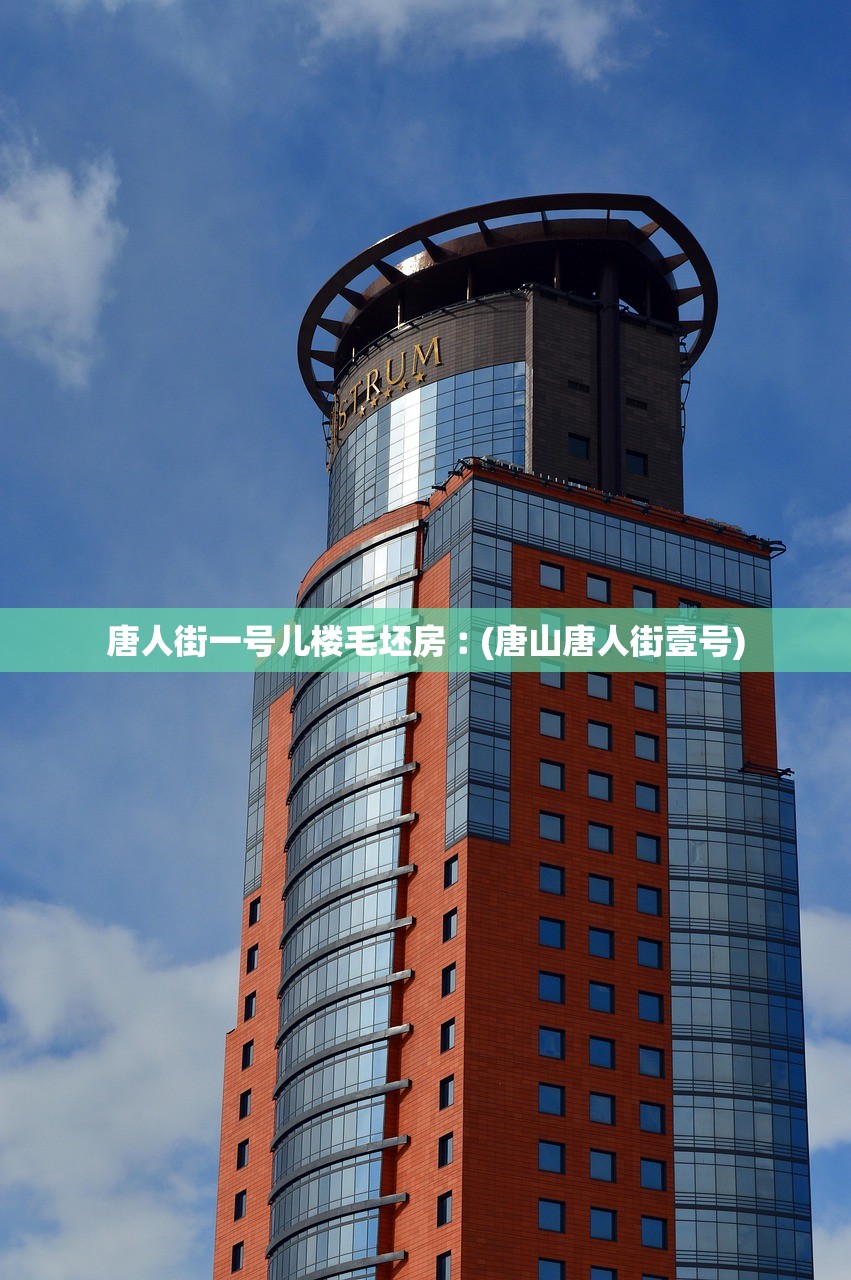 唐人街一号儿楼毛坯房︰(唐山唐人街壹号) 唐人街一号儿楼毛坯房︰(唐山唐人街壹号)
