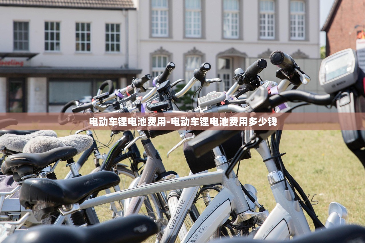 电动车锂电池费用-电动车锂电池费用多少钱