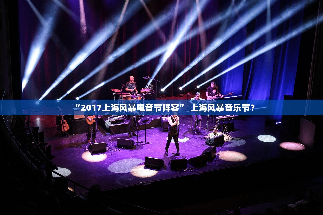“2017上海风暴电音节阵容” 上海风暴音乐节？