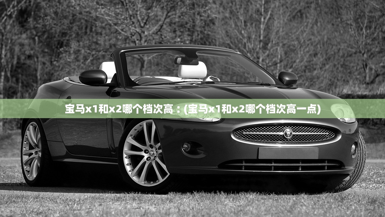 宝马x1和x2哪个档次高︰(宝马x1和x2哪个档次高一点)