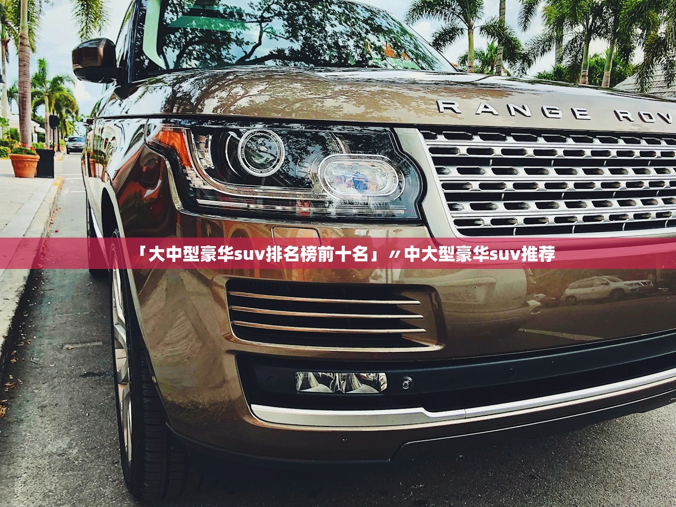 「大中型豪华suv排名榜前十名」〃中大型豪华suv推荐