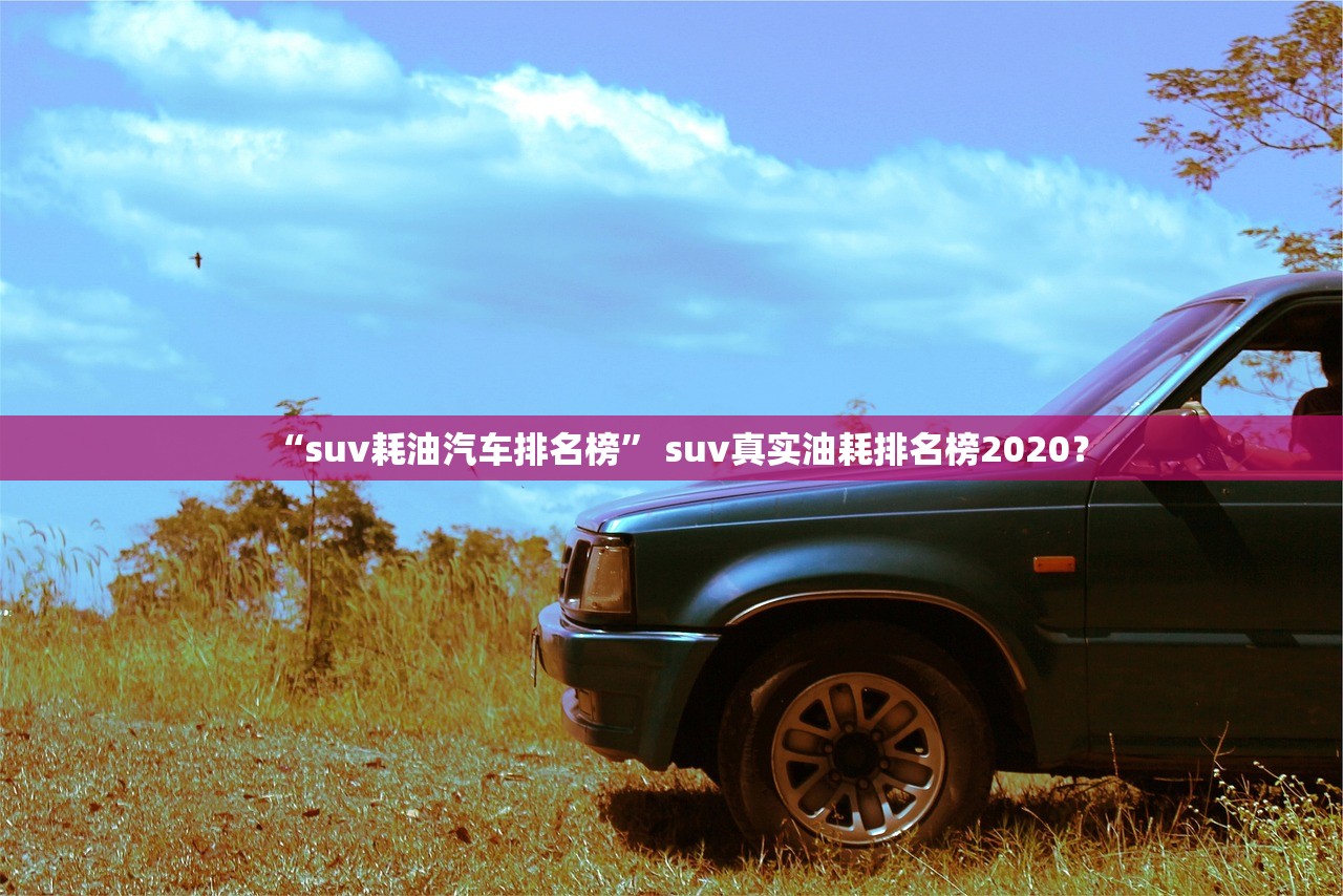 “suv耗油汽车排名榜” suv真实油耗排名榜2020？