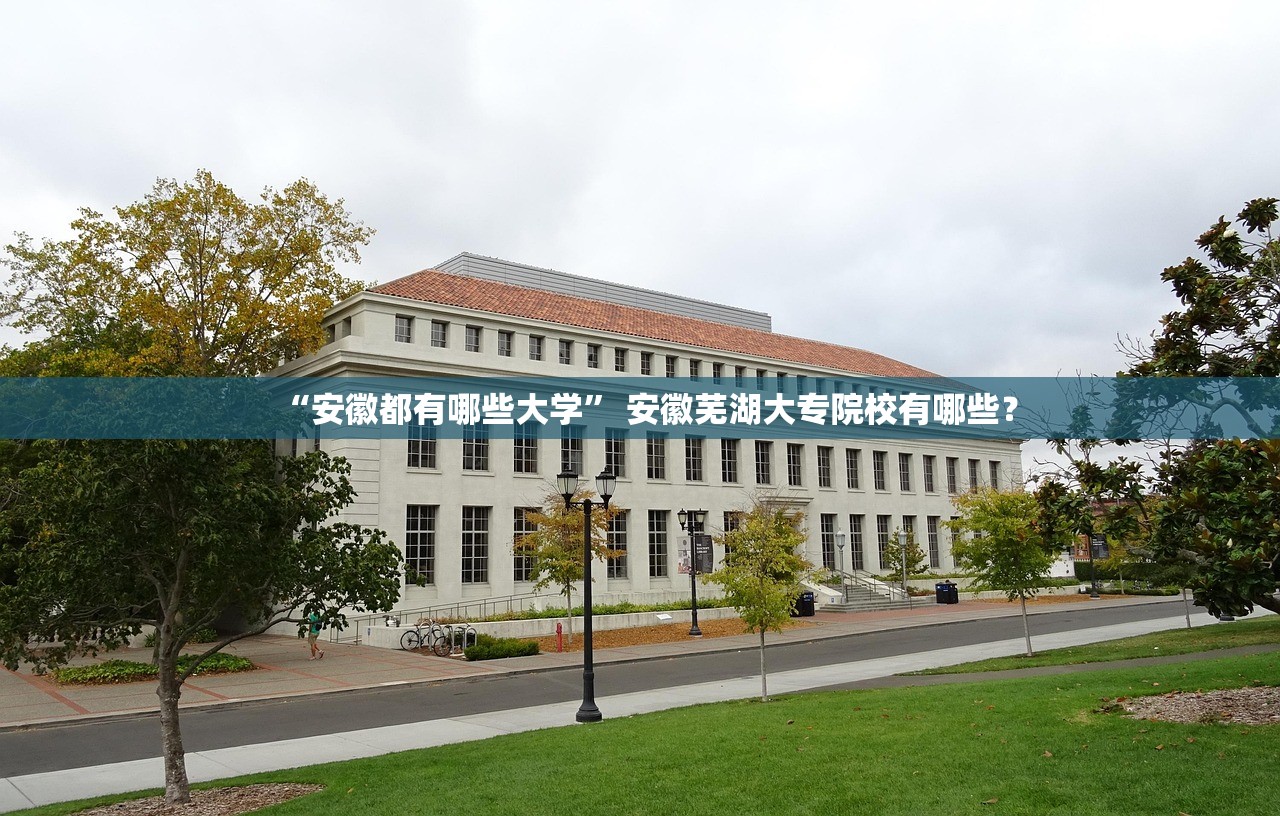 “安徽都有哪些大学” 安徽芜湖大专院校有哪些？