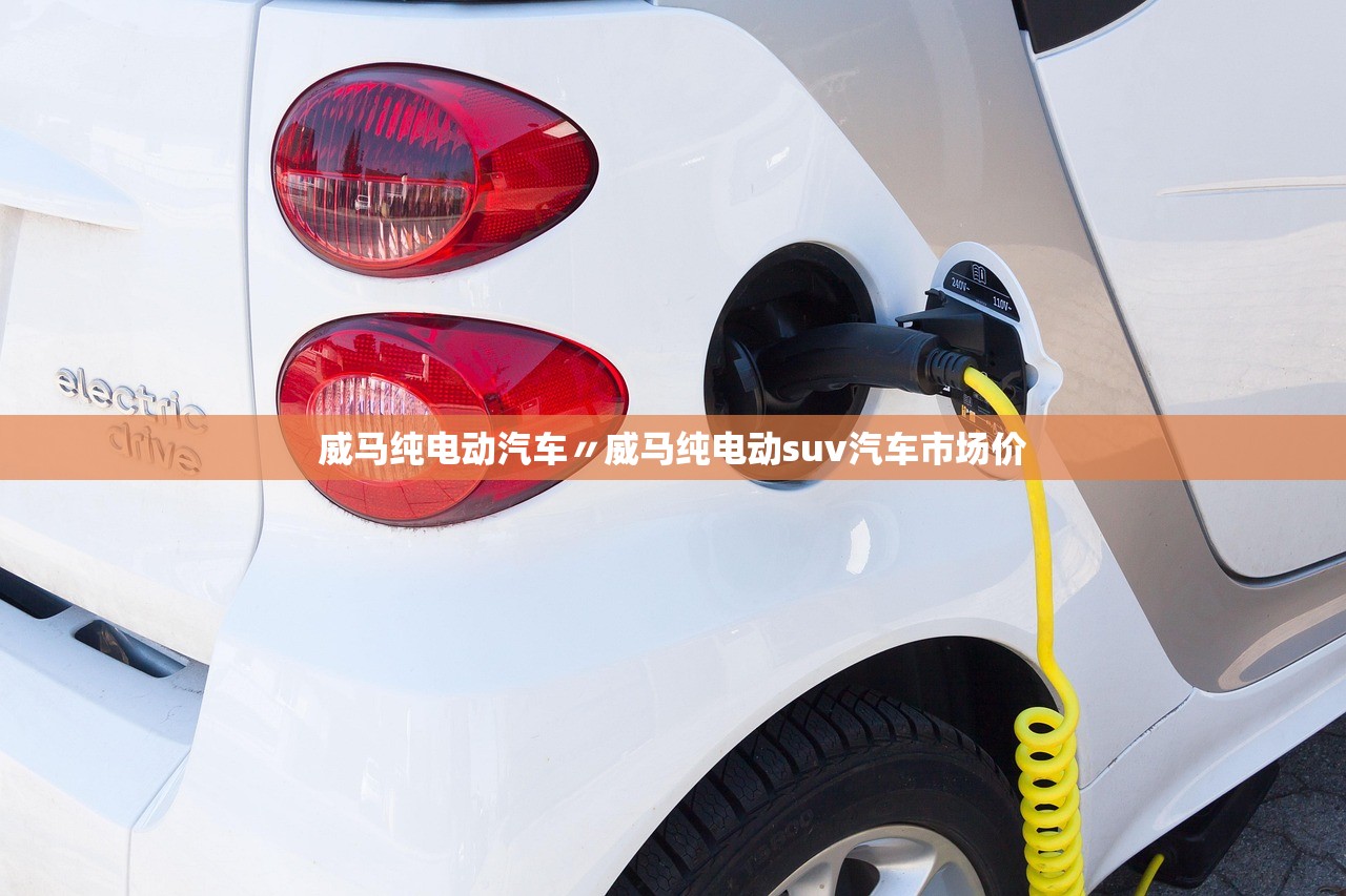 威马纯电动汽车〃威马纯电动suv汽车市场价