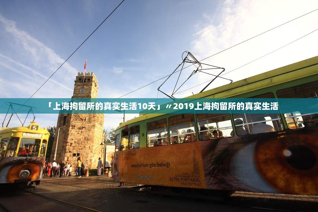 「上海拘留所的真实生活10天」〃2019上海拘留所的真实生活