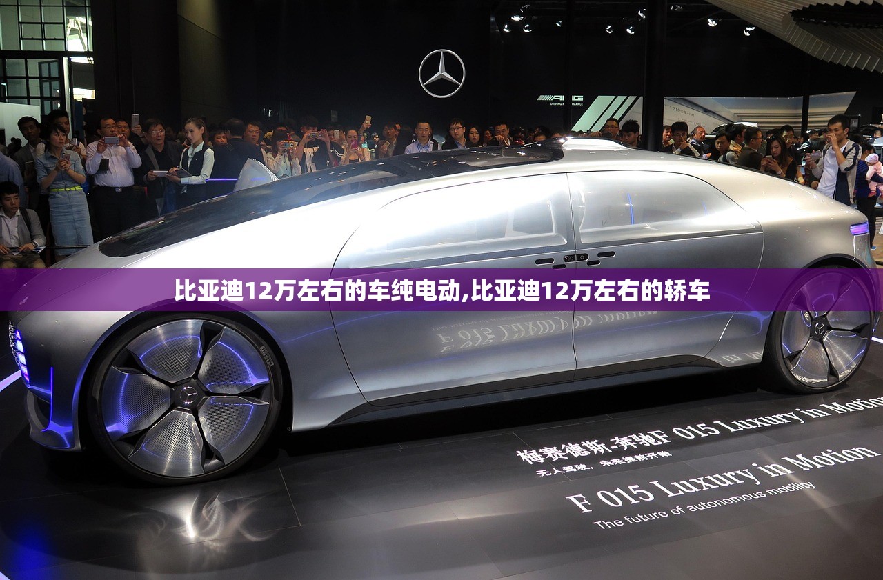 比亚迪12万左右的车纯电动,比亚迪12万左右的轿车 比亚迪12万左右的车纯电动,比亚迪12万左右的轿车