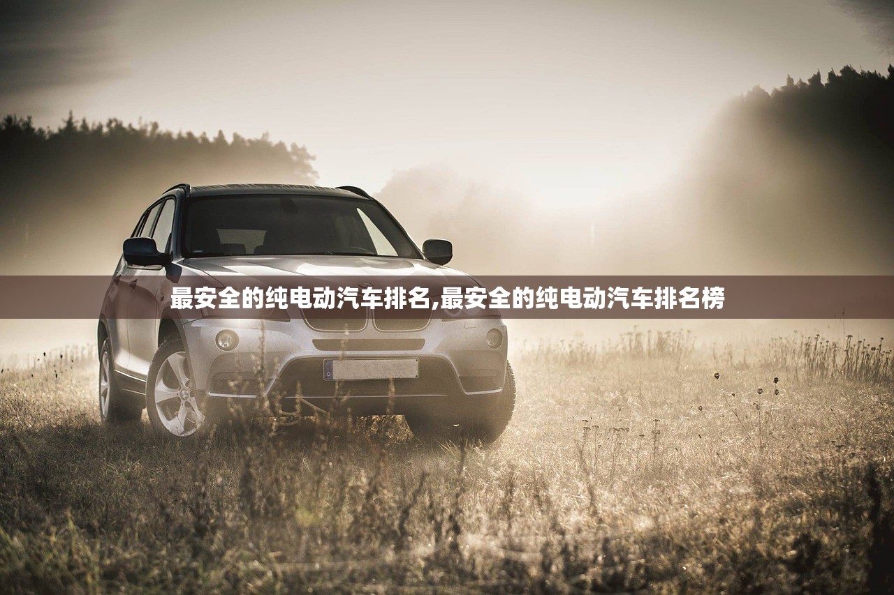 最安全的纯电动汽车排名,最安全的纯电动汽车排名榜