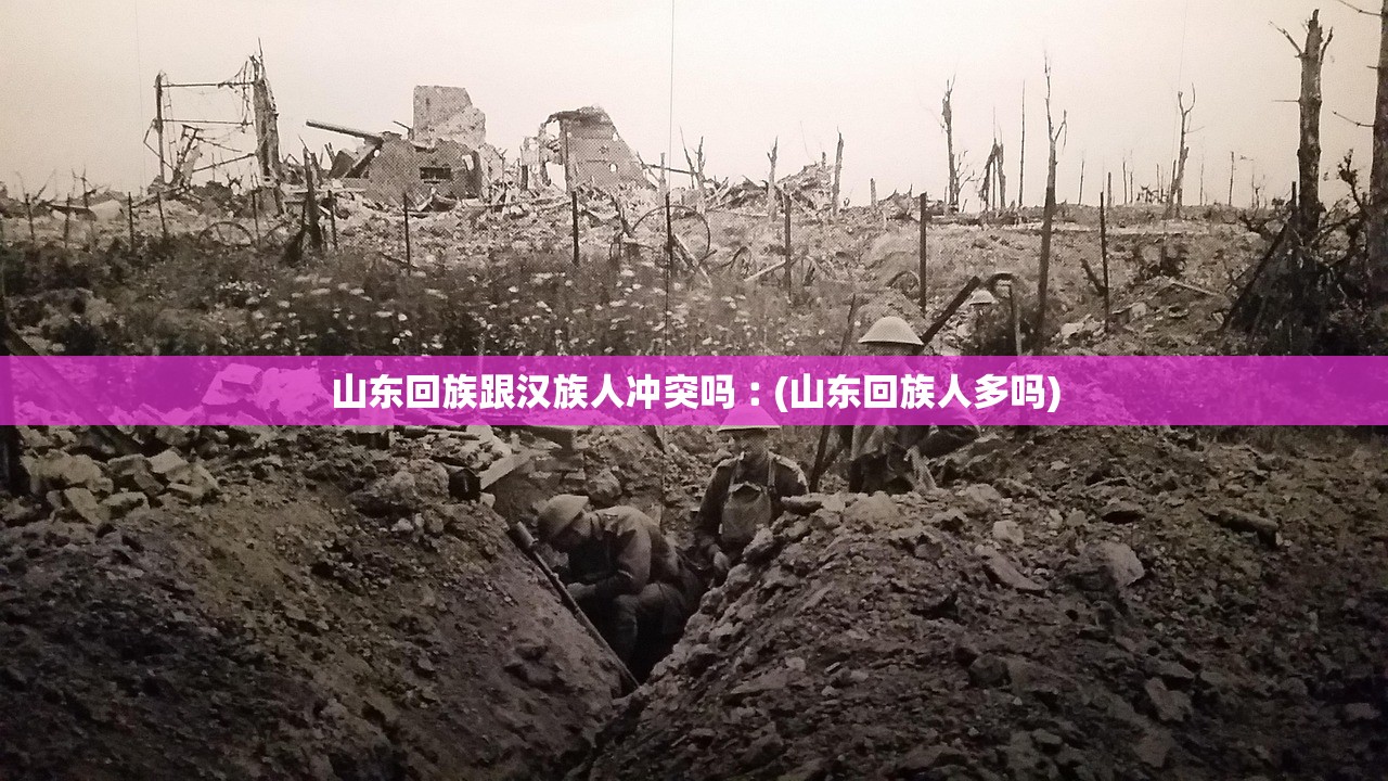 山东回族跟汉族人冲突吗︰(山东回族人多吗) 山东回族跟汉族人冲突吗︰(山东回族人多吗)
