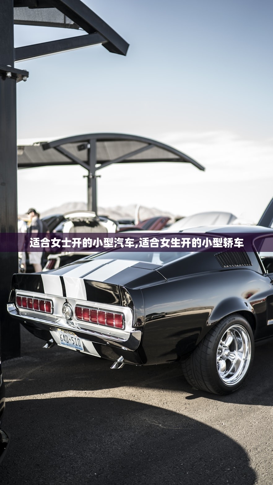 适合女士开的小型汽车,适合女生开的小型轿车