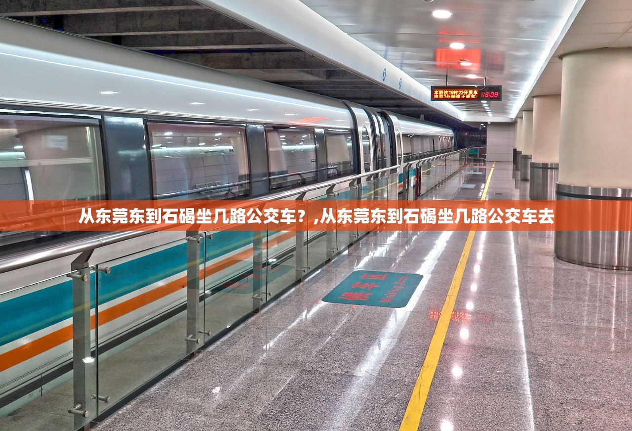 从东莞东到石碣坐几路公交车？,从东莞东到石碣坐几路公交车去