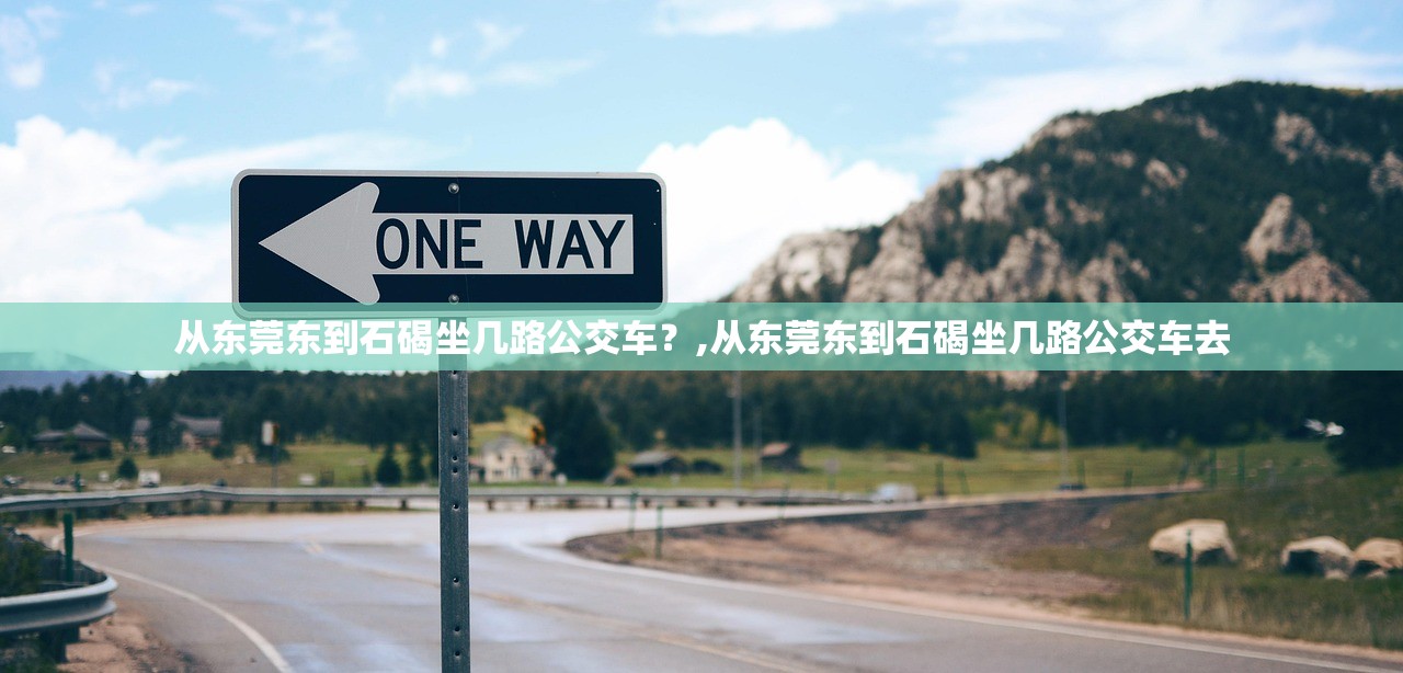 从东莞东到石碣坐几路公交车？,从东莞东到石碣坐几路公交车去