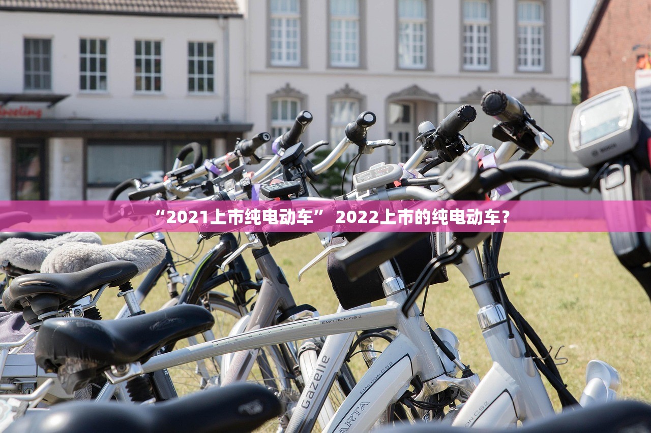 “2021上市纯电动车” 2022上市的纯电动车？