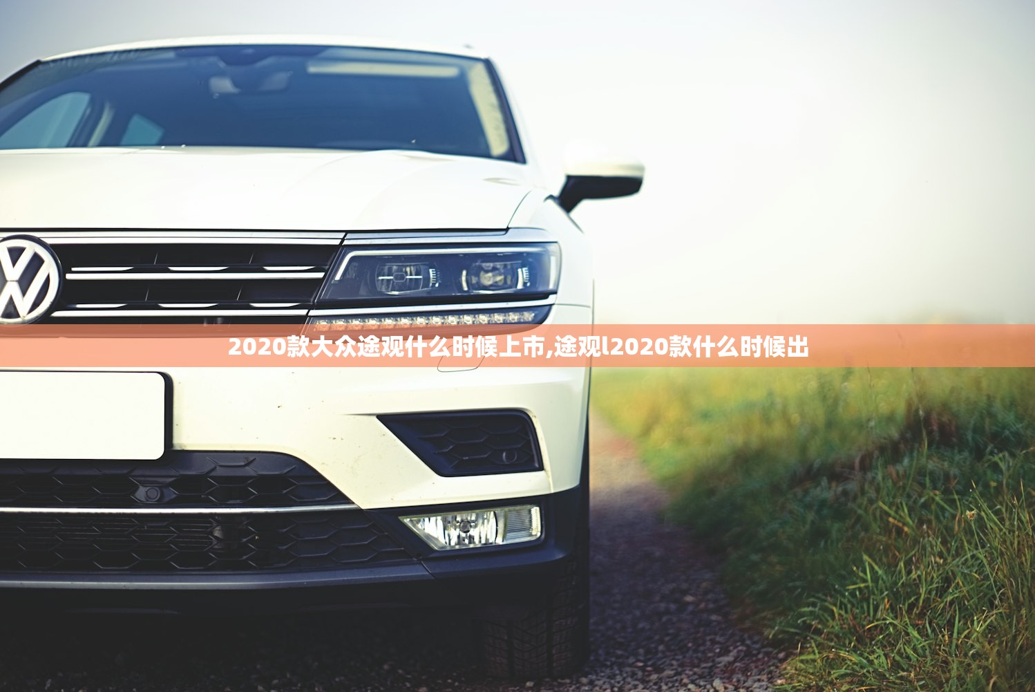 2020款大众途观什么时候上市,途观l2020款什么时候出