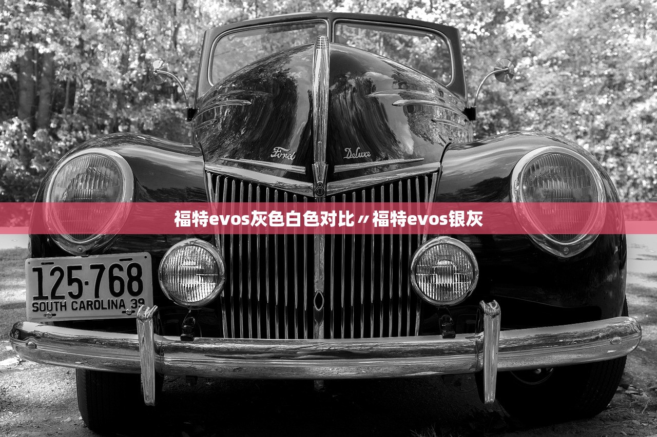 福特evos灰色白色对比〃福特evos银灰