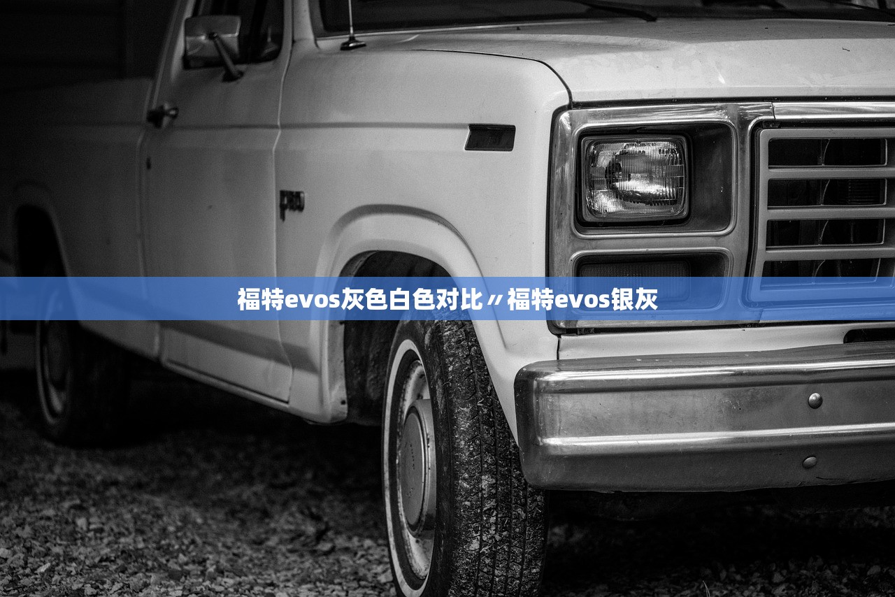 福特evos灰色白色对比〃福特evos银灰
