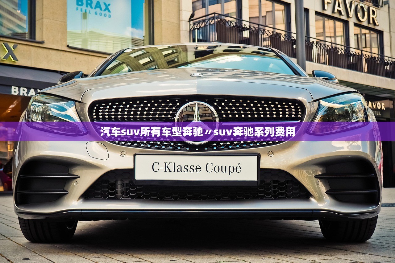 汽车suv所有车型奔驰〃suv奔驰系列费用