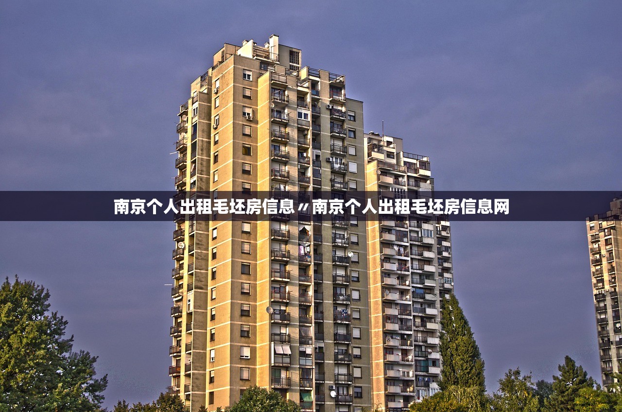 南京个人出租毛坯房信息〃南京个人出租毛坯房信息网