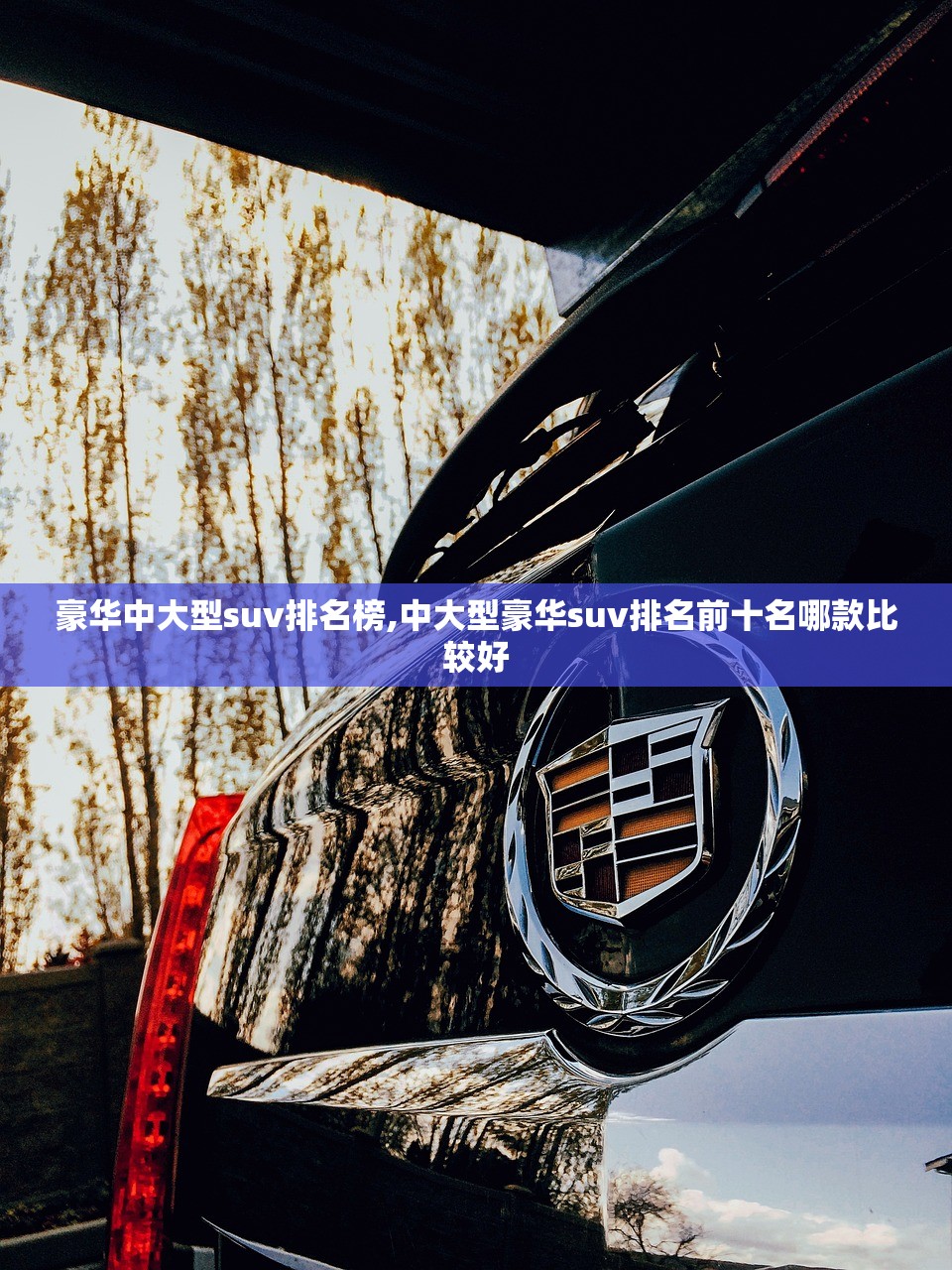 豪华中大型suv排名榜,中大型豪华suv排名前十名哪款比较好