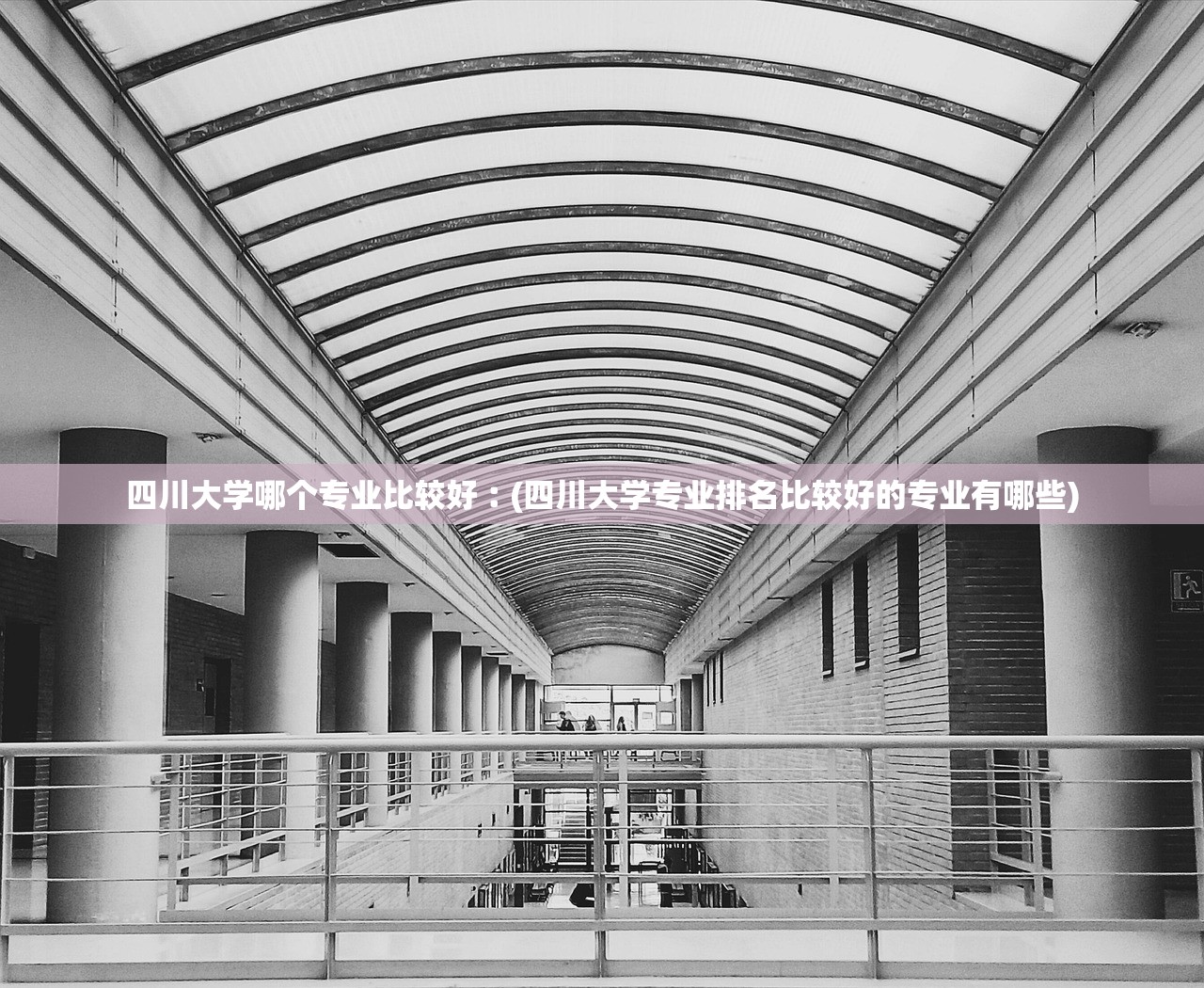 四川大学哪个专业比较好︰(四川大学专业排名比较好的专业有哪些)
