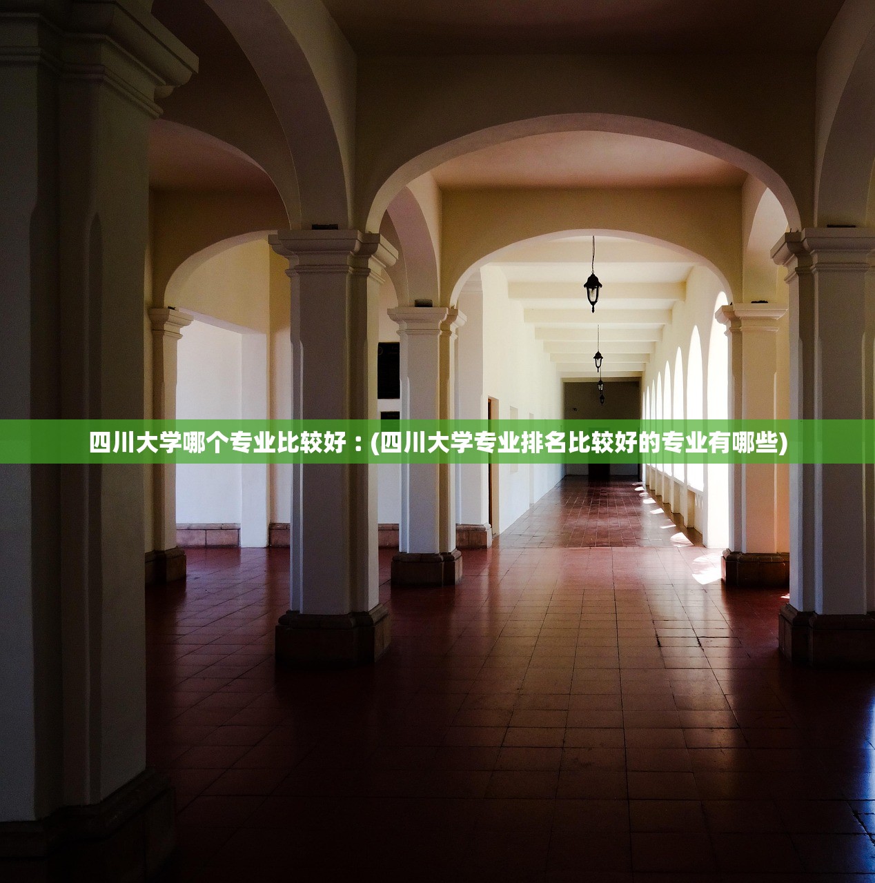 四川大学哪个专业比较好︰(四川大学专业排名比较好的专业有哪些)