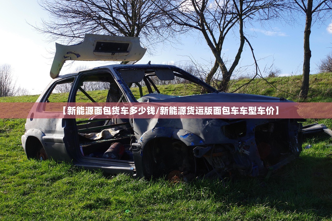 【新能源面包货车多少钱/新能源货运版面包车车型车价】