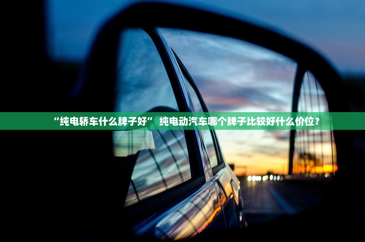 “纯电轿车什么牌子好	” 纯电动汽车哪个牌子比较好什么价位？
