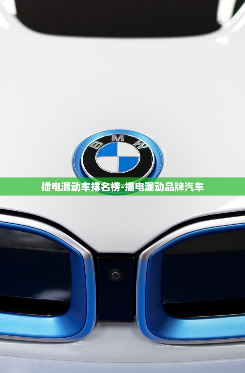 插电混动车排名榜-插电混动品牌汽车