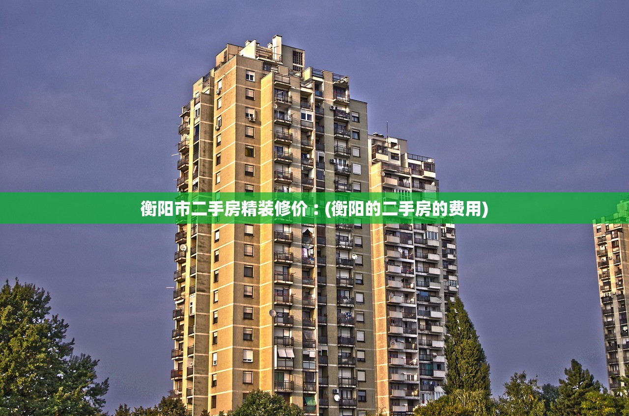 衡阳市二手房精装修价︰(衡阳的二手房的费用)