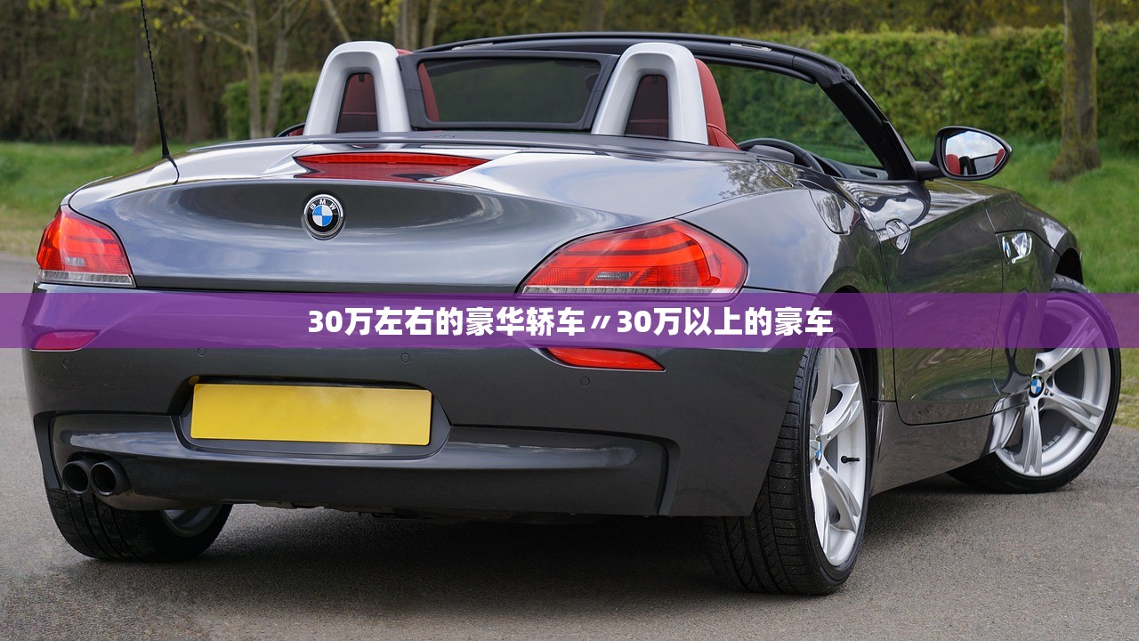 30万左右的豪华轿车〃30万以上的豪车 30万左右的豪华轿车〃30万以上的豪车