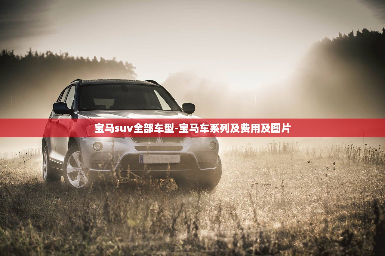 宝马suv全部车型-宝马车系列及费用及图片
