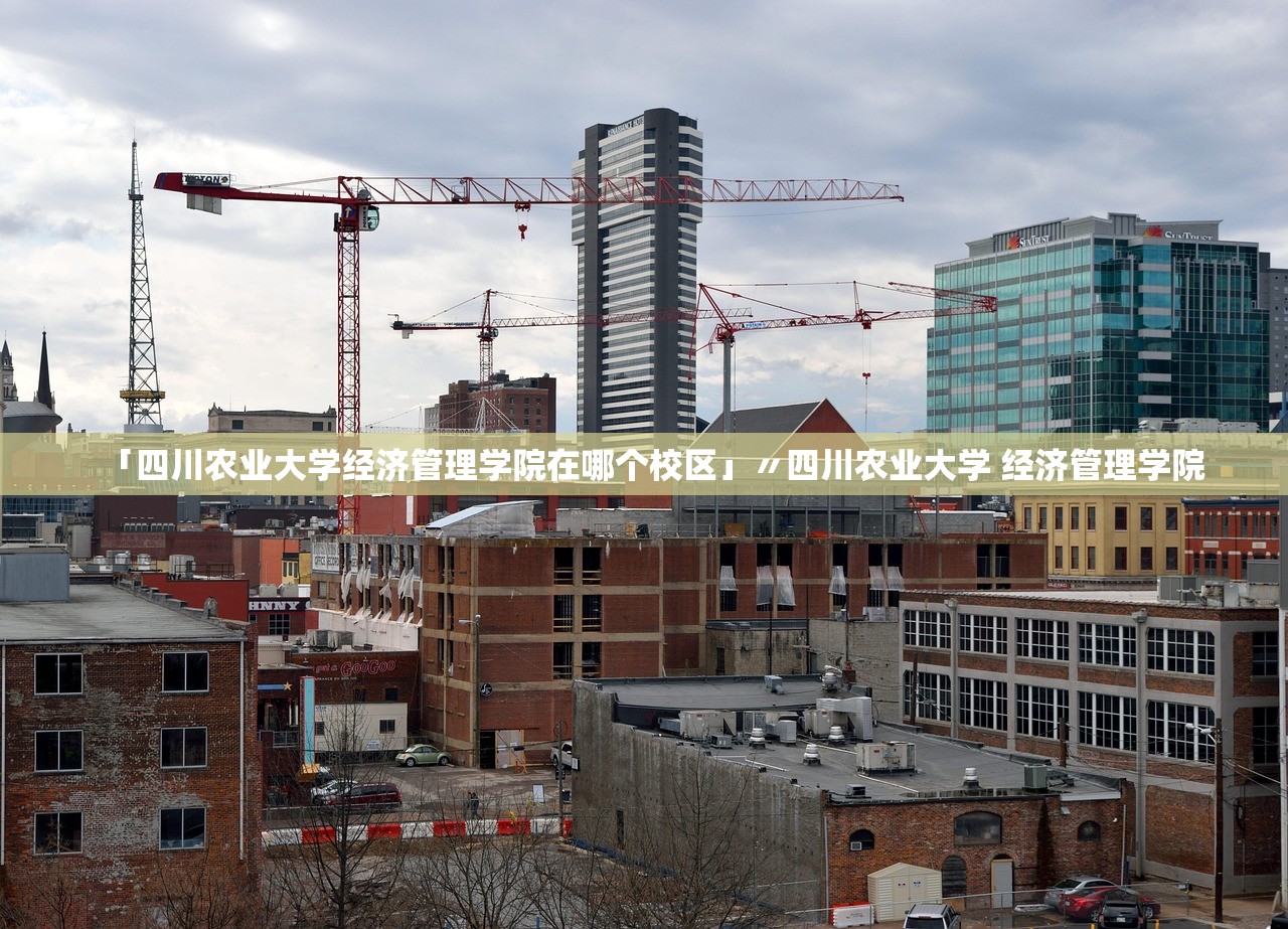 「四川农业大学经济管理学院在哪个校区」〃四川农业大学 经济管理学院