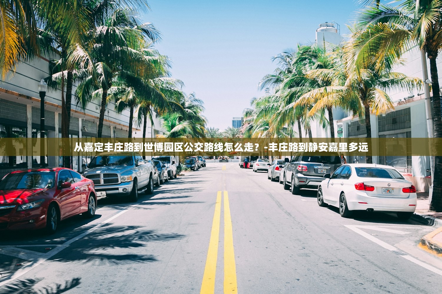 从嘉定丰庄路到世博园区公交路线怎么走？-丰庄路到静安嘉里多远