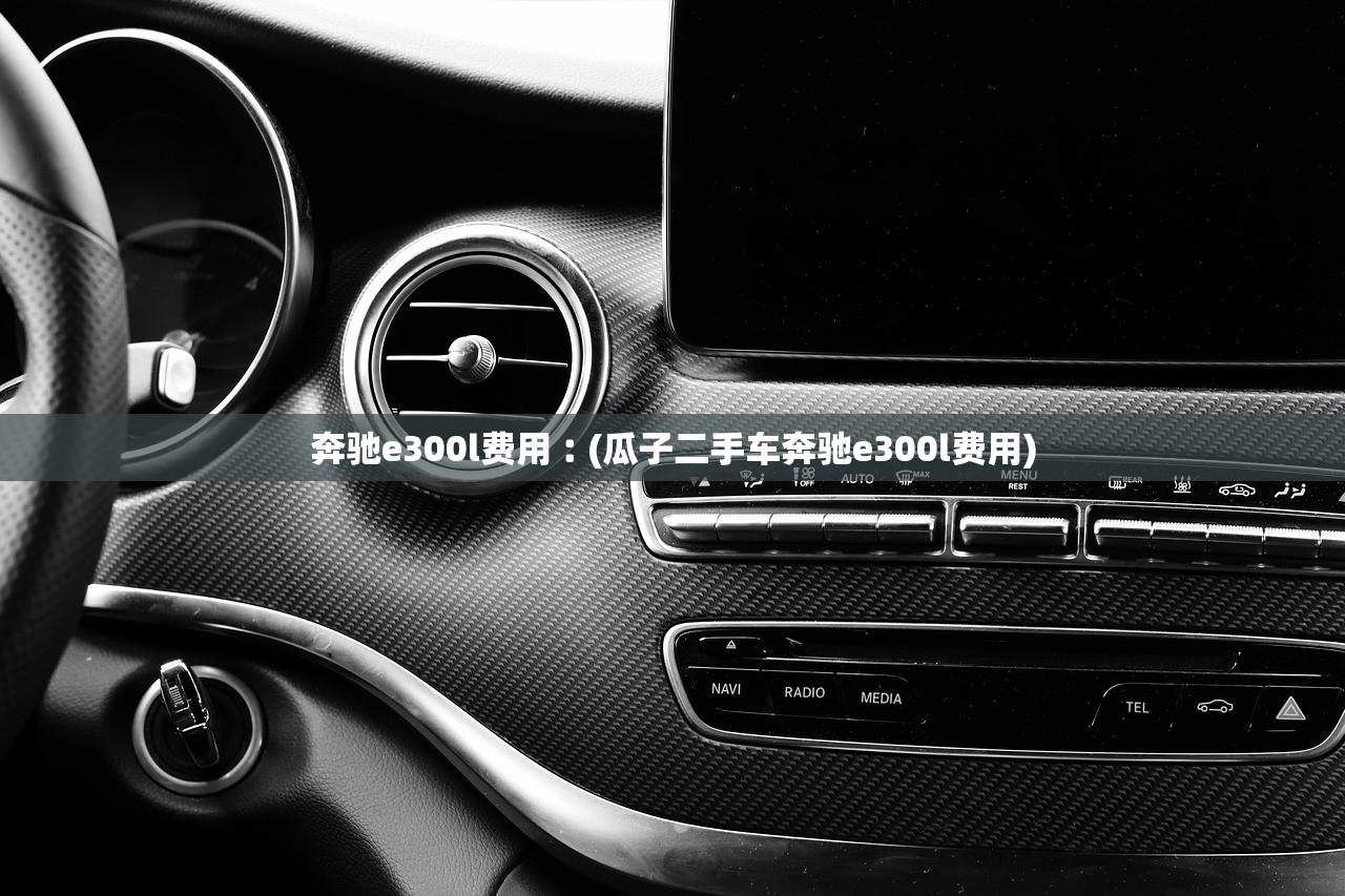 奔驰e300l费用︰(瓜子二手车奔驰e300l费用)