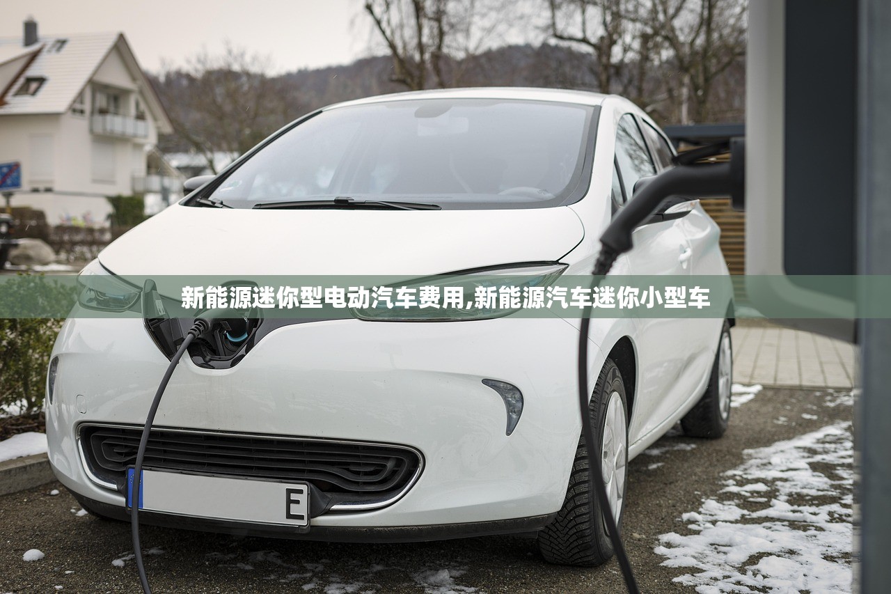新能源迷你型电动汽车费用,新能源汽车迷你小型车