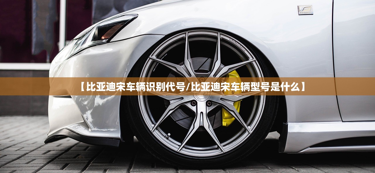 【比亚迪宋车辆识别代号/比亚迪宋车辆型号是什么】